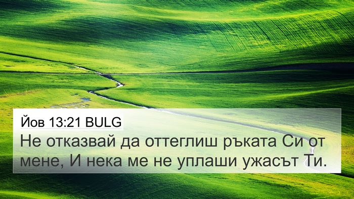 Йов 13:21 BULG Bible Verse Image