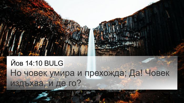 Йов 14:10 BULG Bible Verse Image