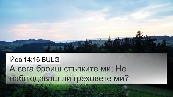 Йов 14:16 BULG Bible Verse Image