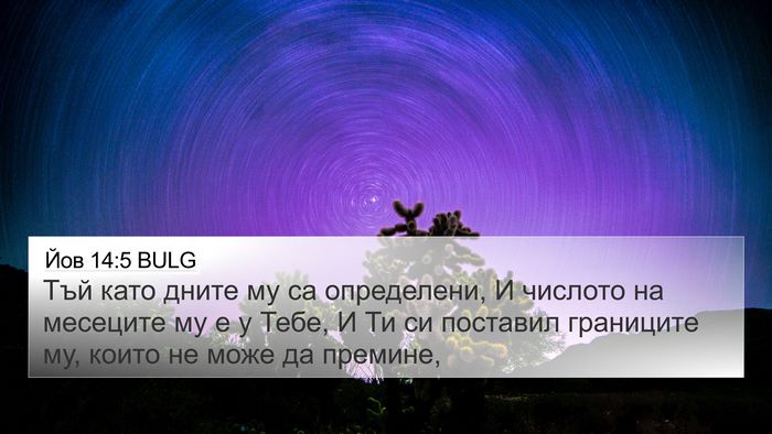 Йов 14:5 BULG Bible Verse Image