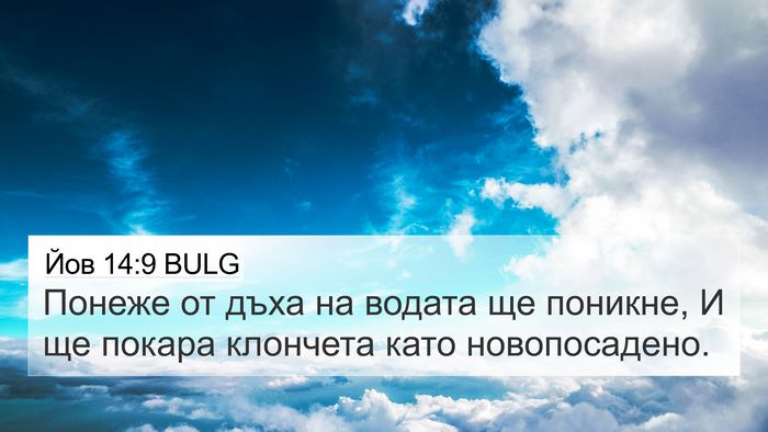 Йов 14:9 BULG 4K Wallpaper - Понеже от дъха на водата ще - 4K Wallpaper Bible Verse