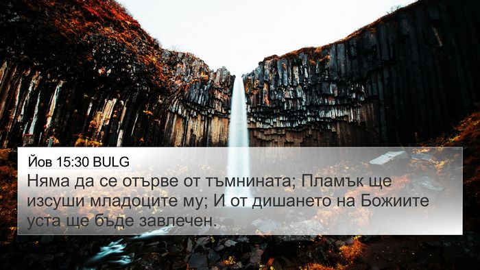 Йов 15:30 BULG Bible Verse Image