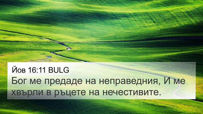 Йов 16:11 BULG Bible Verse Image