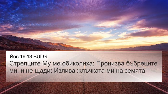 Йов 16:13 BULG Bible Verse Image