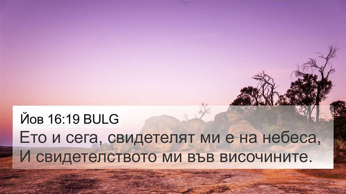 Йов 16:19 BULG Bible Verse Image