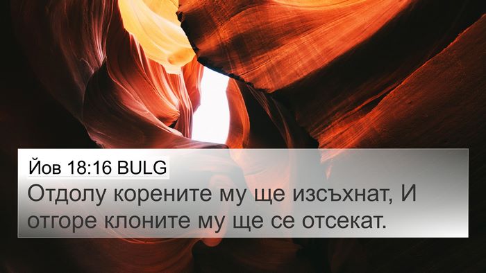 Йов 18:16 BULG Bible Verse Image