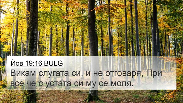 Йов 19:16 BULG Bible Verse Image