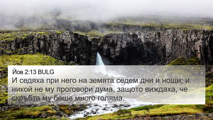 Йов 2:13 BULG Bible Verse Image