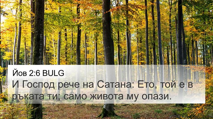 Йов 2:6 BULG Bible Verse Image