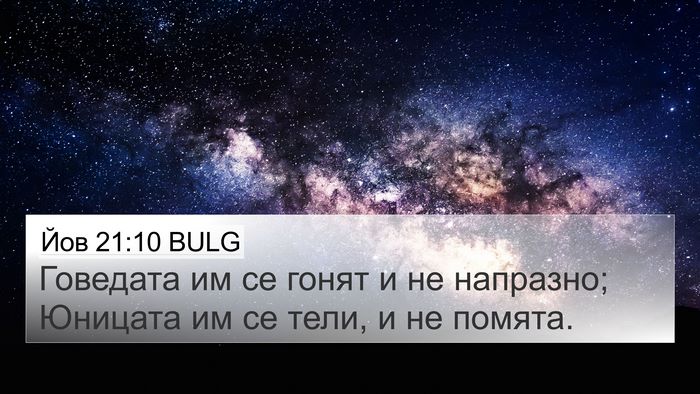 Йов 21:10 BULG Bible Verse Image