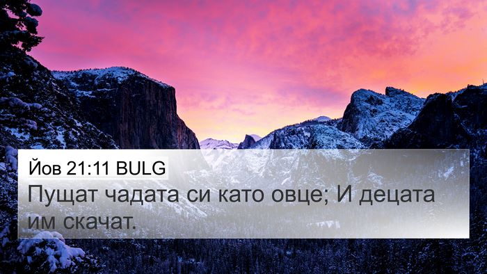 Йов 21:11 BULG Bible Verse Image