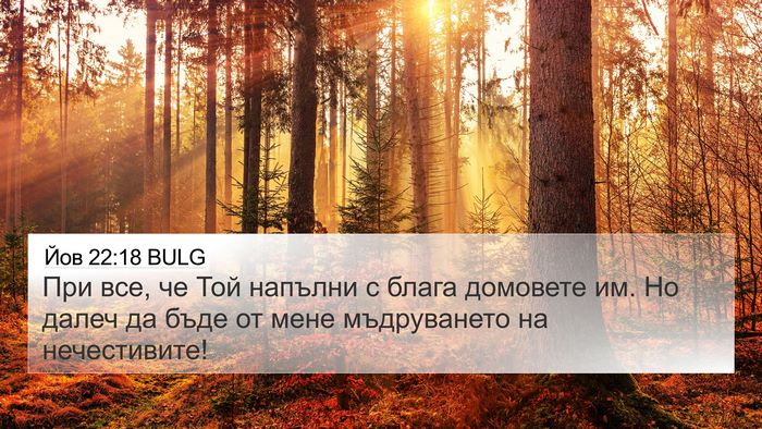 Йов 22:18 BULG Bible Verse Image