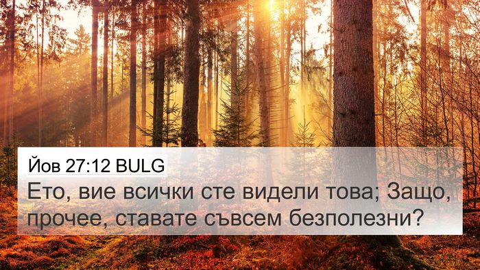 Йов 27:12 BULG 4K Wallpaper - Ето, вие всички сте видели - 4K Wallpaper Bible Verse