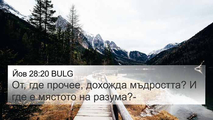 Йов 28:20 BULG Bible Verse Image