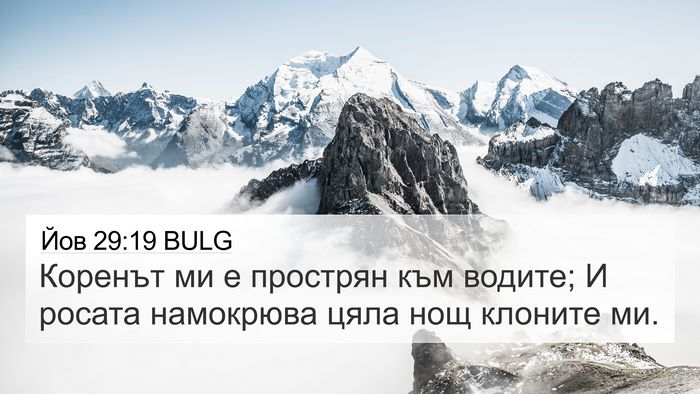 Йов 29:19 BULG Bible Verse Image