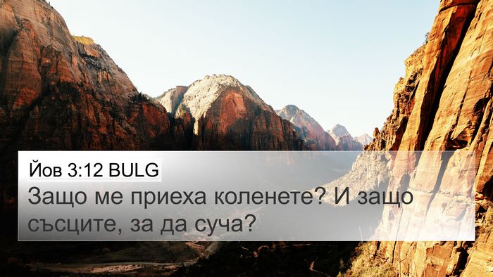Йов 3:12 BULG 4K Wallpaper - Защо ме приеха коленете? И - 4K Wallpaper Bible Verse