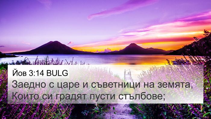 Йов 3:14 BULG Bible Verse Image