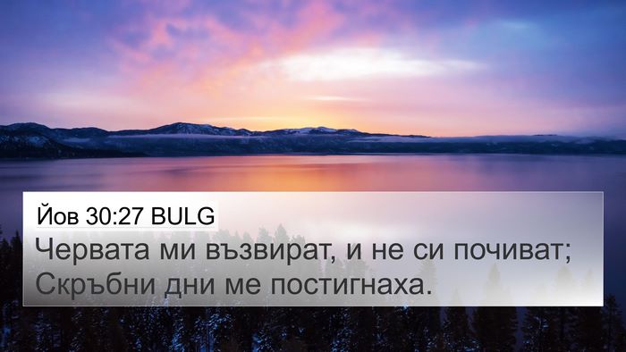 Йов 30:27 BULG Bible Verse Image