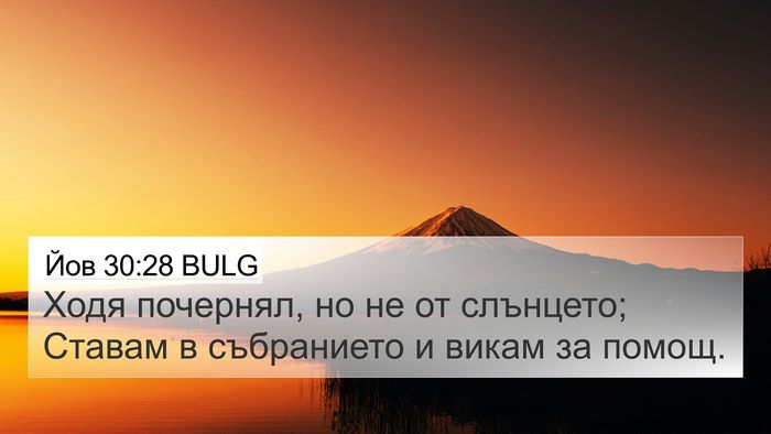 Йов 30:28 BULG Bible Verse Image
