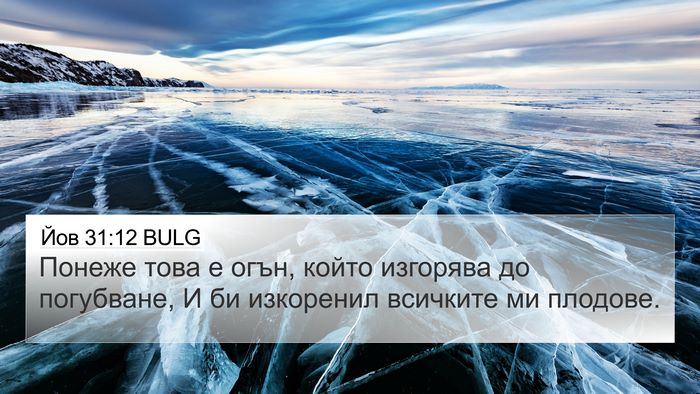 Йов 31:12 BULG 4K Wallpaper - Понеже това е огън, който - 4K Wallpaper Bible Verse