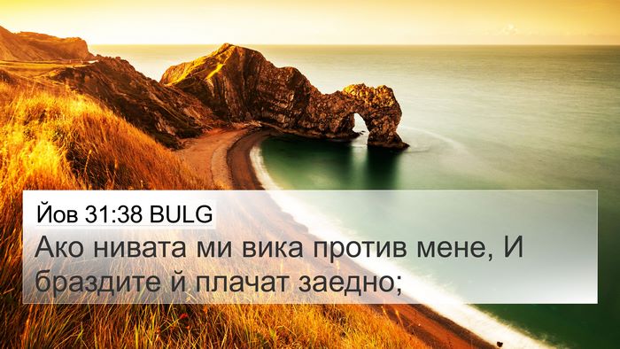 Йов 31:38 BULG Bible Verse Image