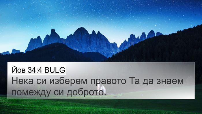 Йов 34:4 BULG Bible Verse Image