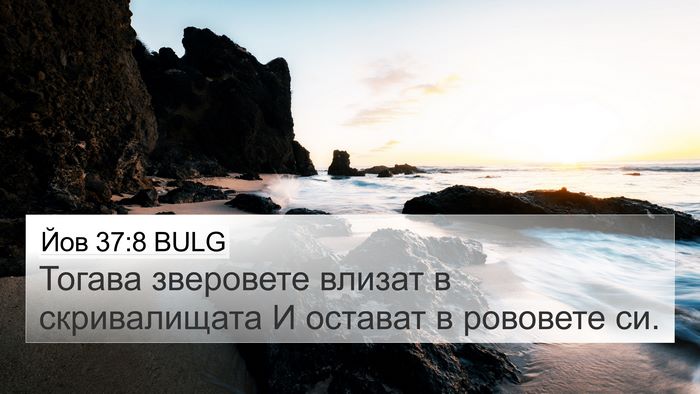 Йов 37:8 BULG 4K Wallpaper - Тогава зверовете влизат в - 4K Wallpaper Bible Verse