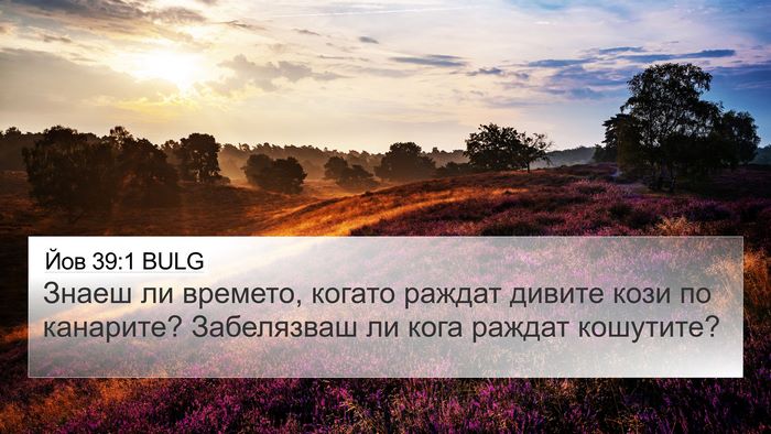 Йов 39:1 BULG Bible Verse Image