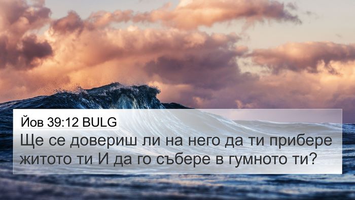 Йов 39:12 BULG 4K Wallpaper - Ще се довериш ли на него да - 4K Wallpaper Bible Verse
