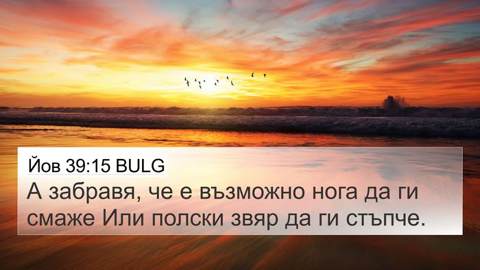 Йов 39:15 BULG 4K Wallpaper - А забравя, че е възможно - 4K Wallpaper Bible Verse