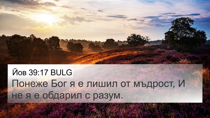Йов 39:17 BULG Bible Verse Image