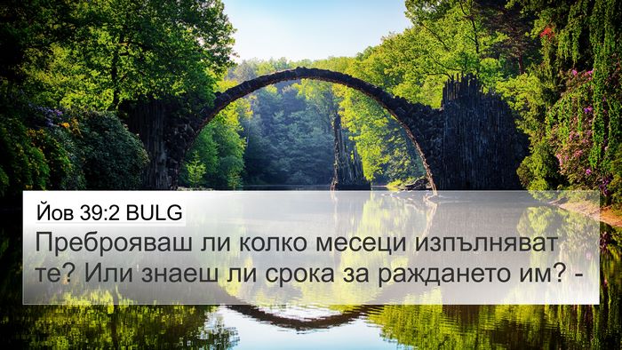 Йов 39:2 BULG 4K Wallpaper - Преброяваш ли колко месеци - 4K Wallpaper Bible Verse
