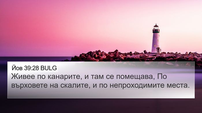 Йов 39:28 BULG 4K Wallpaper - Живее по канарите, и там се - 4K Wallpaper Bible Verse