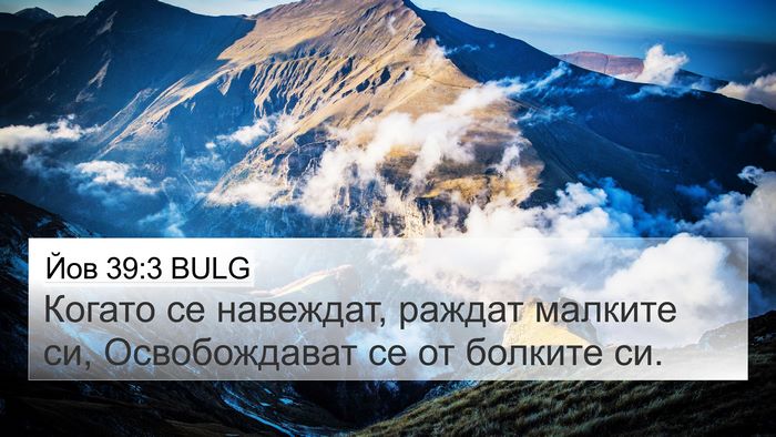 Йов 39:3 BULG 4K Wallpaper - Когато се навеждат, раждат - 4K Wallpaper Bible Verse