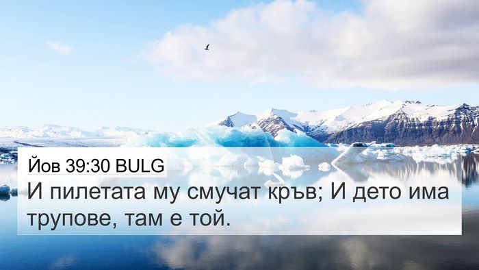 Йов 39:30 BULG Bible Verse Image