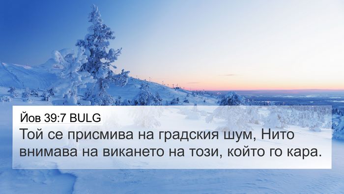 Йов 39:7 BULG Bible Verse Image