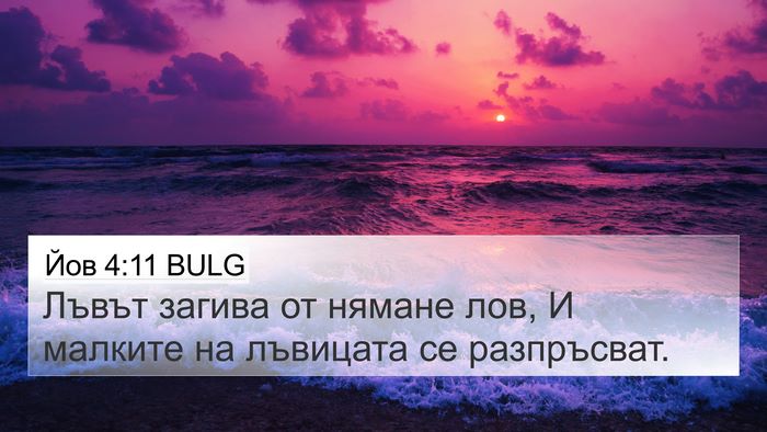 Йов 4:11 BULG 4K Wallpaper - Лъвът загива от нямане лов, - 4K Wallpaper Bible Verse
