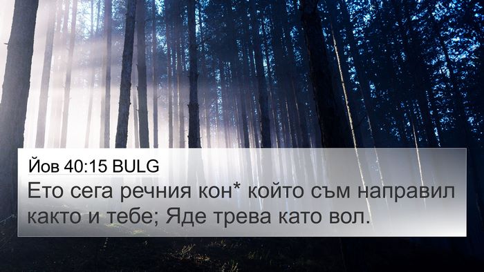 Йов 40:15 BULG Bible Verse Image