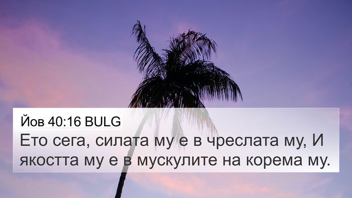 Йов 40:16 BULG Bible Verse Image