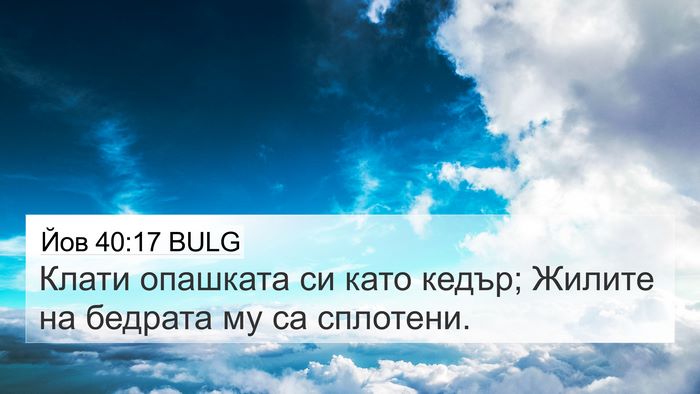 Йов 40:17 BULG Bible Verse Image