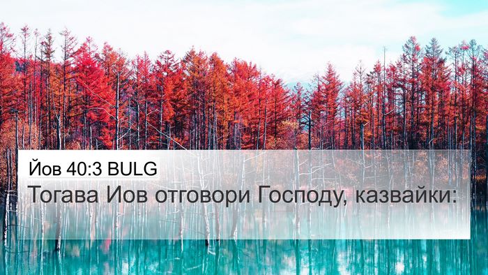 Йов 40:3 BULG 4K Wallpaper - Тогава Иов отговори - 4K Wallpaper Bible Verse