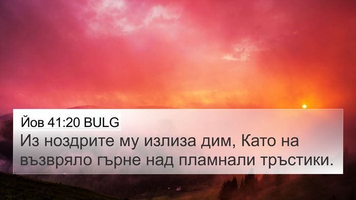 Йов 41:20 BULG Bible Verse Image