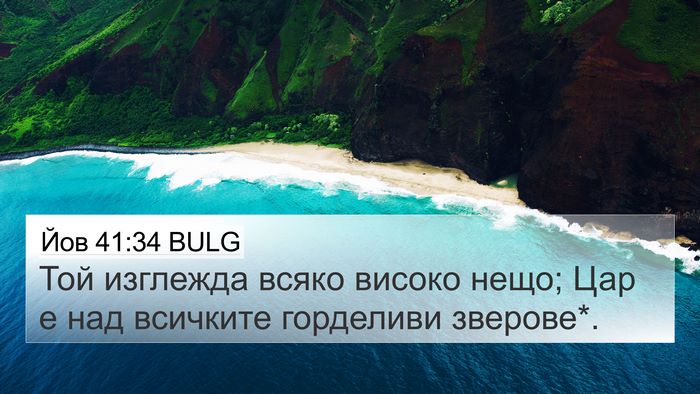Йов 41:34 BULG Bible Verse Image