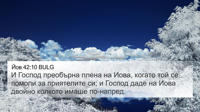 Йов 42:10 BULG Bible Verse Image
