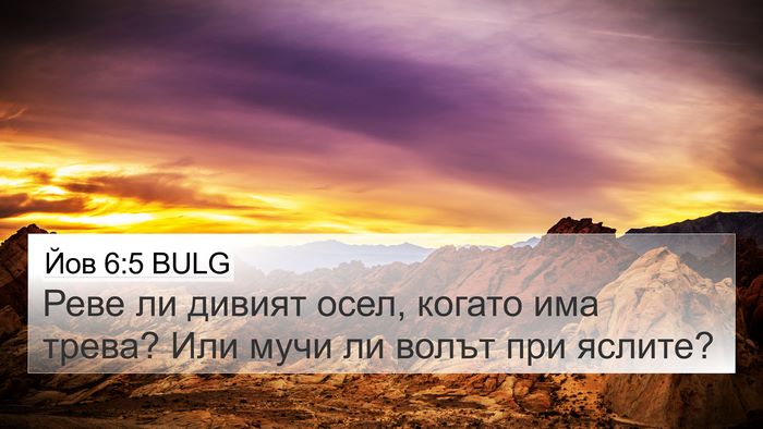 Йов 6:5 BULG Bible Verse Image