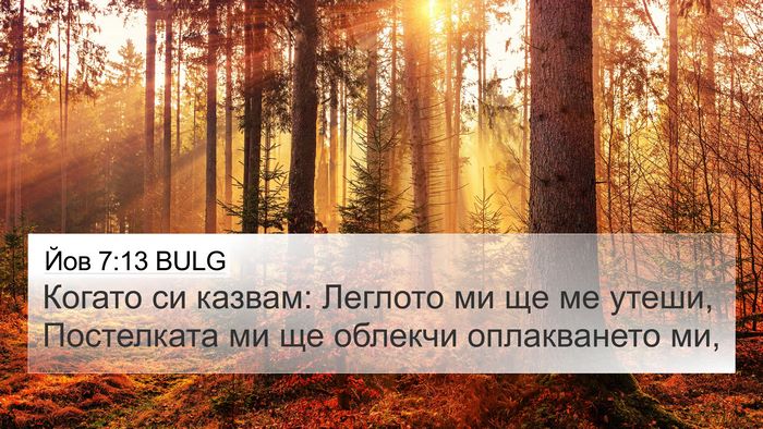 Йов 7:13 BULG Bible Verse Image