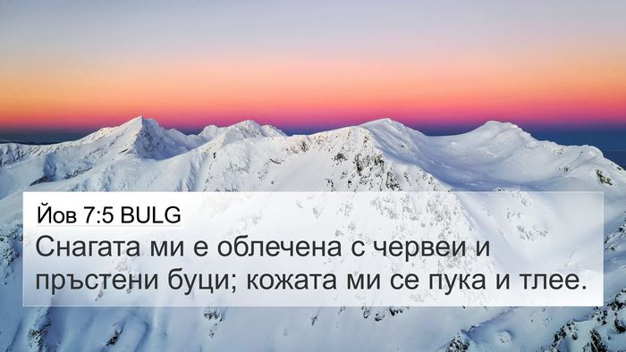 Йов 7:5 BULG Bible Verse Image