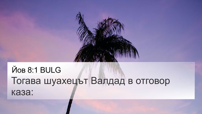 Йов 8:1 BULG Bible Verse Image