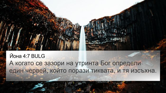 Йона 4:7 BULG 4K Wallpaper - А когато се зазори на - 4K Wallpaper Bible Verse