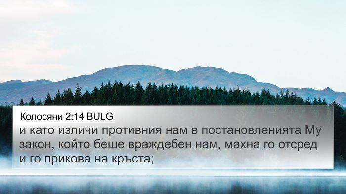 Колосяни 2:14 BULG Bible Verse Image
